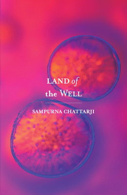 Land Of The Well(English, Paperback, Chattarji Sampurna)