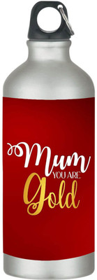TheYaYaCafe 600 ml Steel Sipper(Pack of 1, Red)