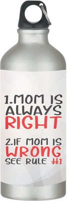 TheYaYaCafe 600 ml Steel Sipper(Pack of 1, White)