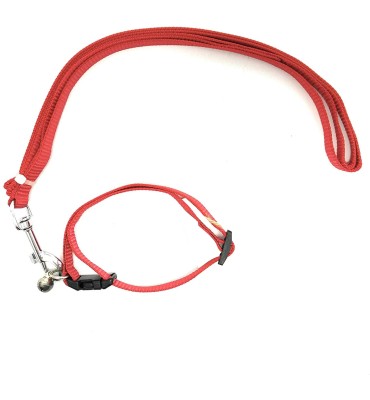 S.Blaze NYLON QUALITY 0.5 INCH RED COLOR DOG COLLAR Dog Collar & Leash(Medium, Red)