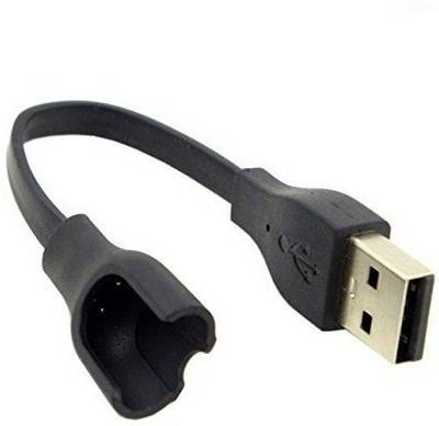 Pitambara Power Cord 0.3 m M2 Fitness Band Charger