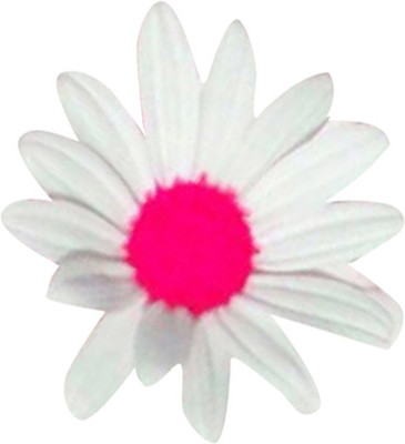 Futaba Chrysanthemum Daisy - Pink and White - 100 Pcs Seed(100 per packet)
