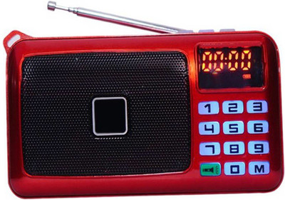 

CRETO SM-53 Fm Radio Mp3 Player With Torch Support USB, AUX & SD Card FM Radio(Red)