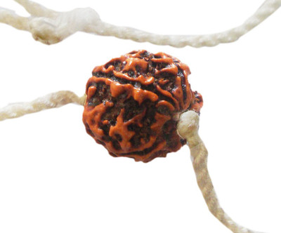 SEN ENTERPRISE Panchmukhi Rudraksha with White thread Mala Wood Locket