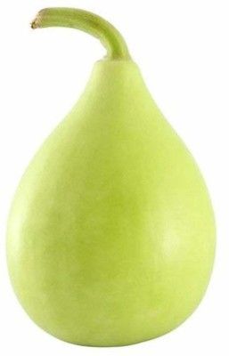 VibeX Bottle Gourd Seed(1000 per packet)