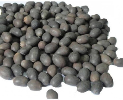 VS GLOBAL kamal gatta seeds ( 20per packet ) Seed(12 per packet)