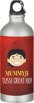 TheYaYaCafe 600 ml Steel Sipper(Pack of 1, Red)