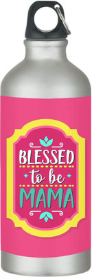 TheYaYaCafe 600 ml Steel Sipper(Pack of 1, Pink)