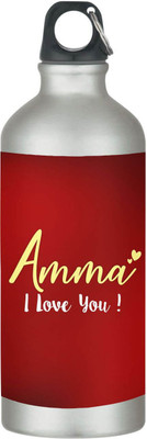 TheYaYaCafe 600 ml Steel Sipper(Pack of 1, Red)