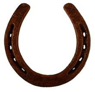 MORMUKUT Black Horse Shoe (Kale Ghode Ki Naal) Iron Yantra(Pack of 1)