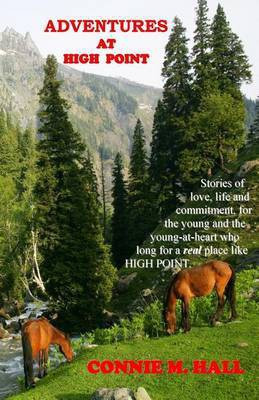 Adventures At High Point(English, Paperback, Hall Connie M)