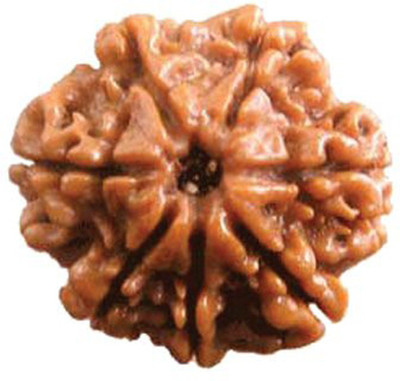 MORMUKUT 7 Mukhi Rudraksha Wood Pendant