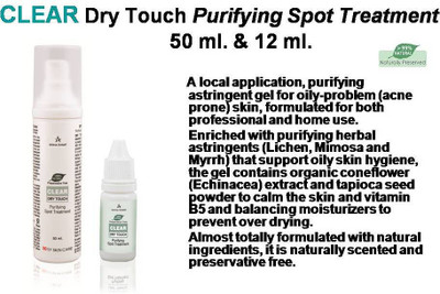 

Anna Lotan Clear Dry Touch Purifying Spot Treatment(12 ml)