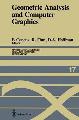 Geometric Analysis and Computer Graphics(English, Hardcover, Hoffman David A.)