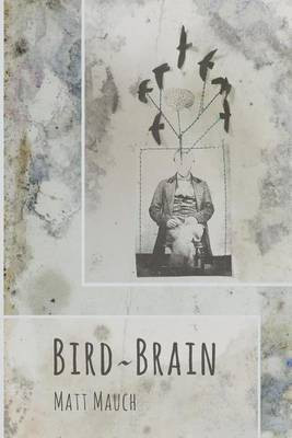 Bird Brain(English, Paperback, Mauch Matt)