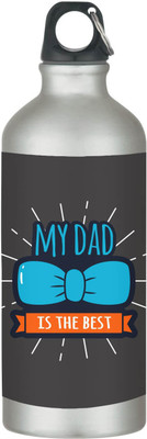 TheYaYaCafe 600 ml Steel Sipper(Pack of 1, Black)