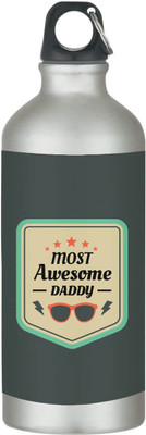 TheYaYaCafe 600 ml Steel Sipper(Pack of 1, Green)