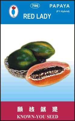 FRESHO red lady papaya hybrid seeds Seed(614 per packet)