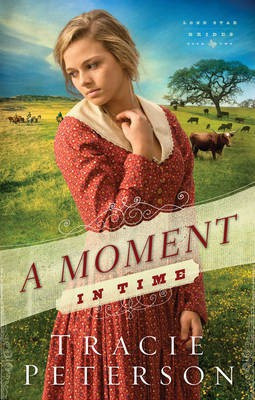 A Moment in Time(English, Electronic book text, Peterson Tracie)
