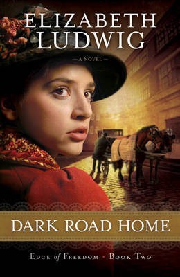 Dark Road Home(English, Electronic book text, Ludwig Elizabeth)