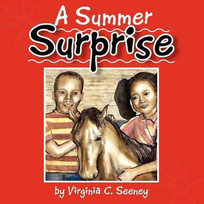 A Summer Surprise(English, Paperback, Seeney Virginia C)