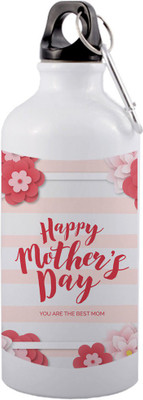 COLOR YARD 600 ml Aluminium Sipper(Pack of 1, White)