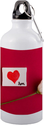 COLOR YARD 600 ml Aluminium Sipper(Pack of 1, White)