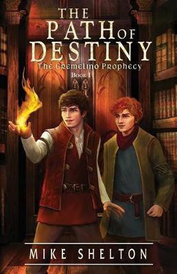 The Path Of Destiny(English, Paperback, Shelton Mike)
