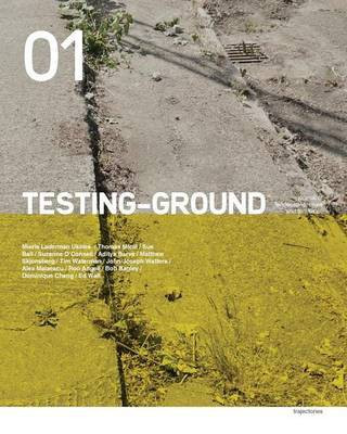 Testing-Ground(English, Paperback, Malaescu Alex)