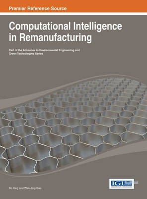 Computational Intelligence in Remanufacturing(English, Electronic book text, Xing Bo)