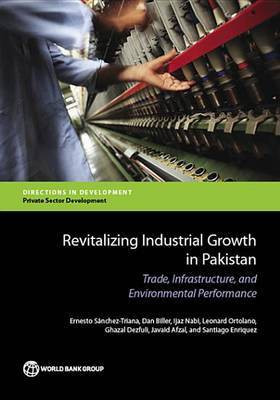 Revitalizing Industrial Growth in Pakistan(English, Electronic book text, Sanchez-Triana Ernesto)