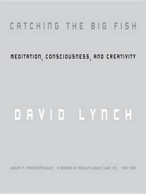 Catching the Big Fish(English, Electronic book text, Lynch David)