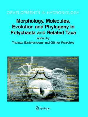 Morphology, Molecules, Evolution and Phylogeny in Polychaeta and Related Taxa(English, Electronic book text, Bartolomaeus T)