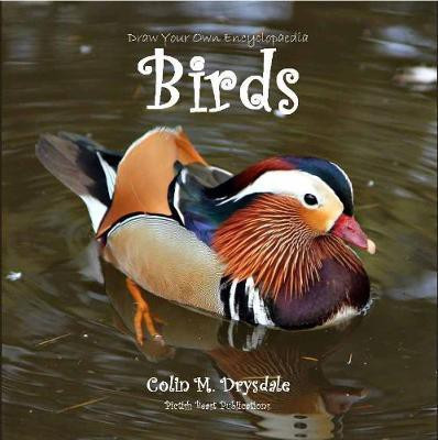 Draw Your Own Encyclopaedia Birds(English, Paperback, Drysdale Colin M)