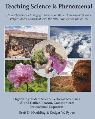 Teaching Science is Phenomenal(English, Paperback, Moulding Brett D)