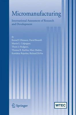 Micromanufacturing(English, Electronic book text, Ehmann K. F)