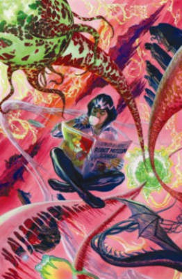 Astro City Private Lives(English, Hardcover, Busiek Kurt)