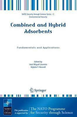 Combined and Hybrid Adsorbents(English, Electronic book text, Loureiro Jose-Miguel)