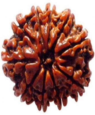 om rudraksha 10 mukhi rudraksha nepali Wood Locket
