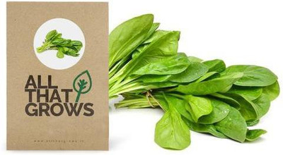 AllThatGrows Spinach Seeds, Palak Seeds, Green Leafy Vegetables Seeds Pack Of 100 Seeds Seed(100 per packet)