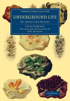 Underground Life(English, Paperback, Simonin Louis)