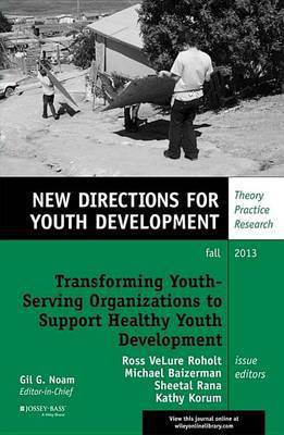 Transforming Youth Serving Organizations to Support Healthy Youth Development(English, Electronic book text, unknown)