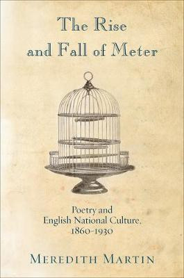 The Rise and Fall of Meter(English, Electronic book text, Martin Meredith)