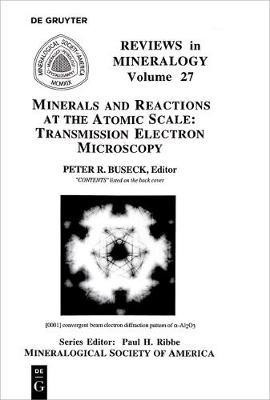 Minerals and Reactions at the Atomic Scale(English, Paperback, unknown)