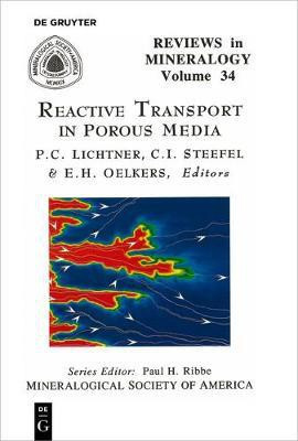 Reactive Transport in Porous Media(English, Paperback, unknown)