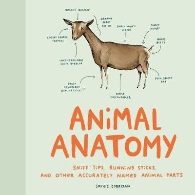 Animal Anatomy(English, Hardcover, Corrigan Sophie)
