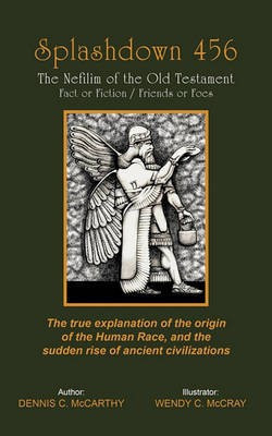 Splashdown 456(English, Paperback, McCarthy Dennis C.)
