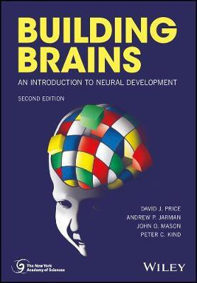 Building Brains(English, Electronic book text, Price David J.)