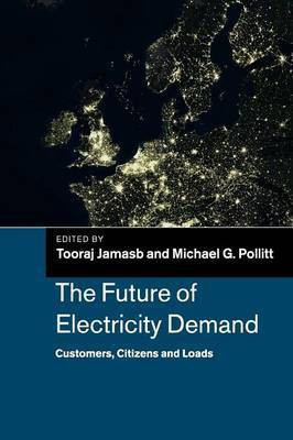 The Future of Electricity Demand(English, Paperback, unknown)