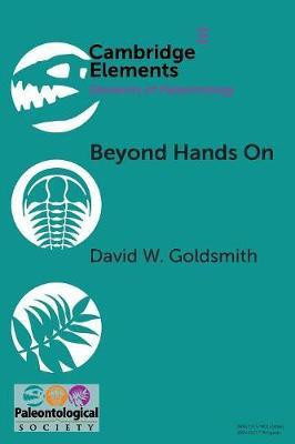 Beyond Hands On(English, Paperback, Goldsmith David W.)